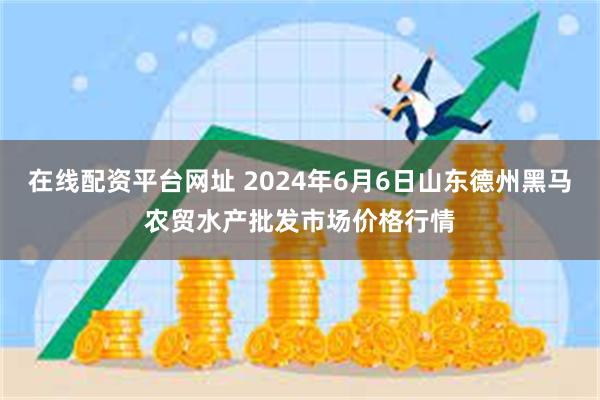 在线配资平台网址 2024年6月6日山东德州黑马农贸水产批发市场价格行情