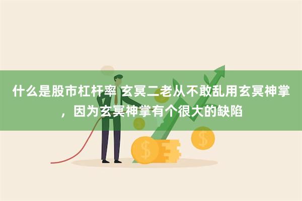 什么是股市杠杆率 玄冥二老从不敢乱用玄冥神掌，因为玄冥神掌有个很大的缺陷