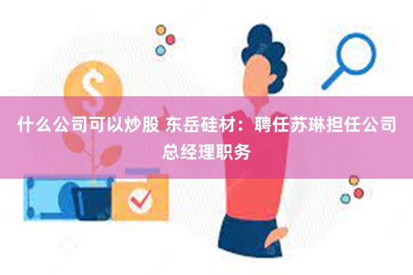 什么公司可以炒股 东岳硅材：聘任苏琳担任公司总经理职务