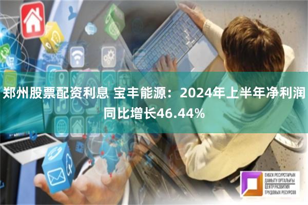 郑州股票配资利息 宝丰能源：2024年上半年净利润同比增长46.44%