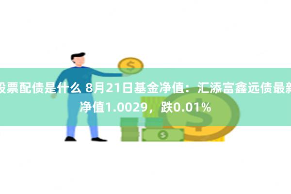 股票配债是什么 8月21日基金净值：汇添富鑫远债最新净值1.0029，跌0.01%