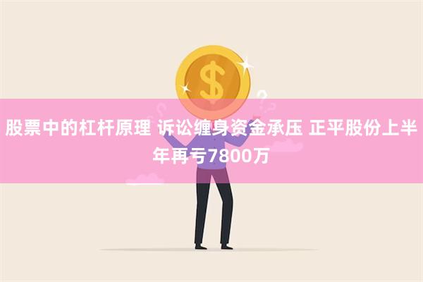 股票中的杠杆原理 诉讼缠身资金承压 正平股份上半年再亏7800万