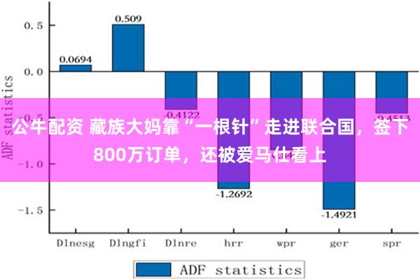 公牛配资 藏族大妈靠“一根针”走进联合国，签下800万订单，还被爱马仕看上