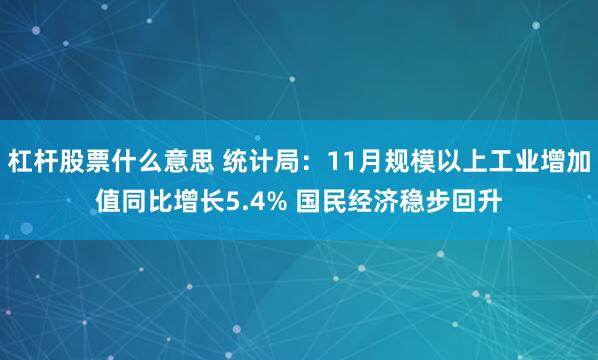 杠杆股票什么意思 统计局：11月规模以上工业增加值同比增长5.4% 国民经济稳步回升