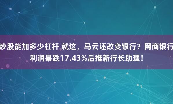 炒股能加多少杠杆 就这，马云还改变银行？网商银行利润暴跌17.43%后推新行长助理！