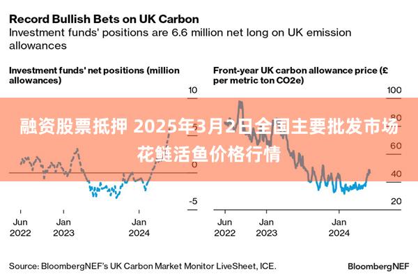 融资股票抵押 2025年3月2日全国主要批发市场花鲢活鱼价格行情