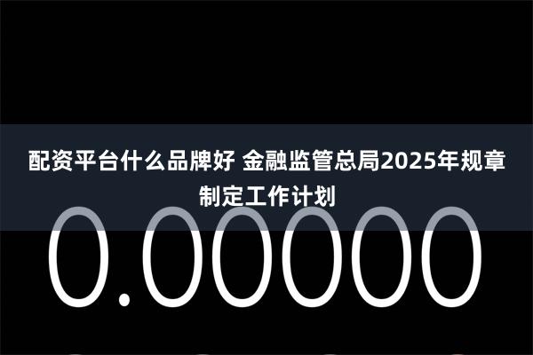 配资平台什么品牌好 金融监管总局2025年规章制定工作计划